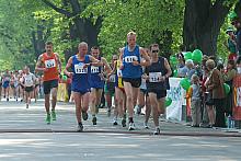 V Cracovia Maraton