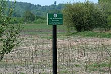W ramach "Programu zalesień i zadrzewień gruntów Gminy Kraków na lata 2003-2006" zasadzono ponad 60 ha lasu. 