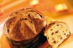 Panettone i Cavallucci