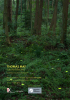 Thomas May Nature reflected. Instalacja i wystawa fotografii 
