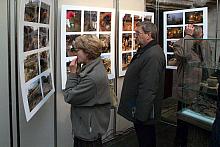 Ekspozycję uzupełniają zdjęcia reliktów, reportaż fotograficzny dokumentujący etapy prac terenowych, prezentacje multimedialne o