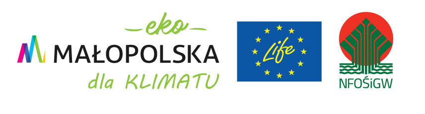 Logo EKO Małopolska 